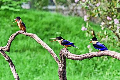 音乐驱动怀旧动作游戏《轮滑女孩》即将登陆Steam