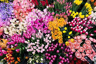 《暗黑破坏神4》1.1.0c更新发布 修正Bug改进优化